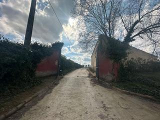 Country house  Camino de moralejita. Finca moraleja de enmedio