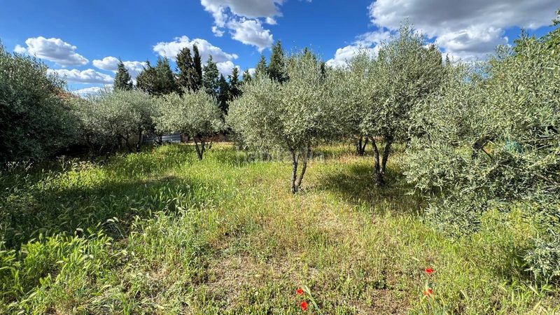 Foto 18e785b3-33ff-4fb1-9538-18a557b97bef. Casa aparellada amb xemeneia aparcament a Yeles