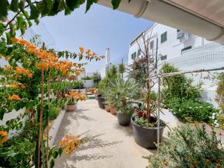 Maison jumelée à Plaça dels pins 6. Casa con gran patio en el casco antiguo