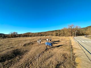 Terreny residencial  Camí del vilar. Terreny de somni amb 24.800m2 per viure la vida rural i urbana e