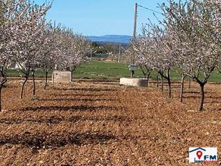 Finca rústica a Sonseca. Se vende finca rustica en sonseca por 28.500 €