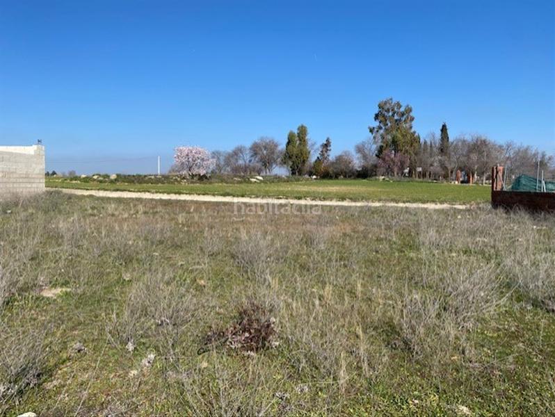 Foto 79a332a7-323d-4516-96f5-8f2620ff4a87. Terreny residencial a Sonseca