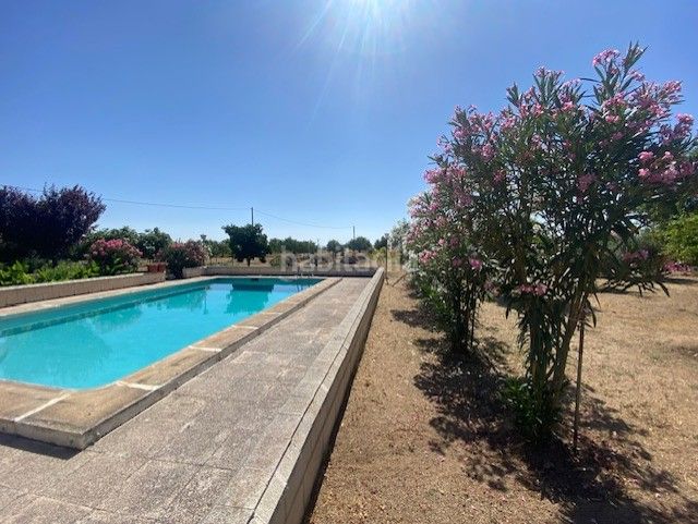 Foto 4c970a0d-4a55-4fc0-a77d-8e2446de623a. Masia amb xemeneia calefacció aparcament piscina a Sonseca