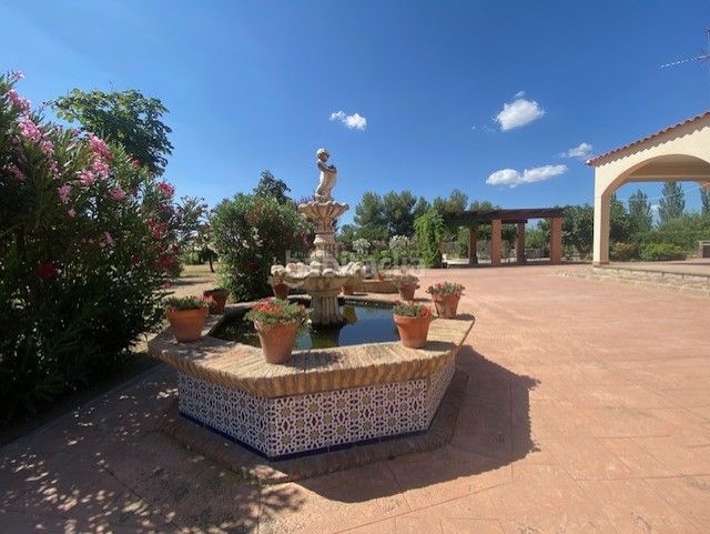 Foto 7c2b011f-e40f-40ef-8047-48197772d359. Masia amb xemeneia calefacció aparcament piscina a Sonseca