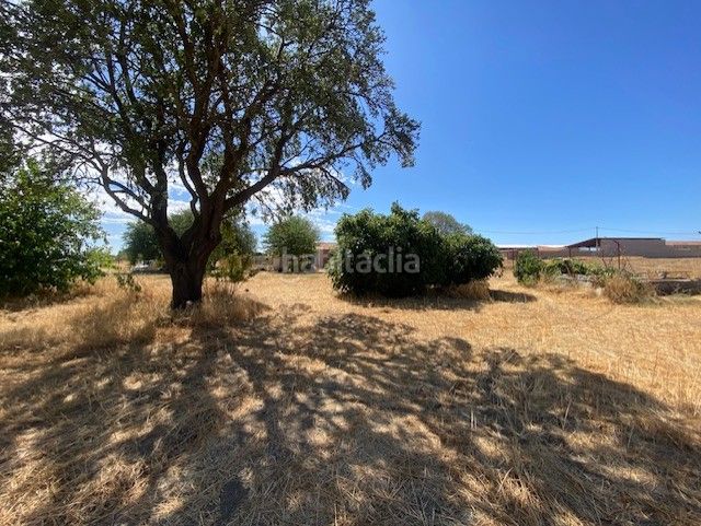 Foto c0249fb0-03cc-41aa-866e-608c0a9fc392. Masia amb xemeneia a Sonseca