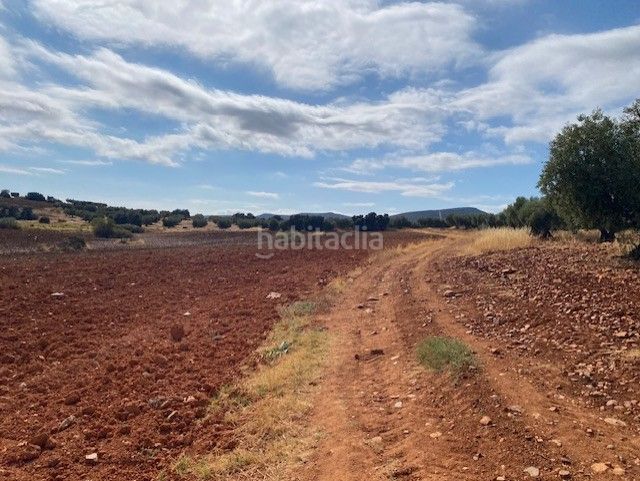 Foto 083d196f-ee29-4763-aec7-66c2a70ebe5b. Finca rústica se vende finca rustica en Sonseca
