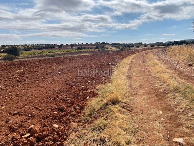 Foto 1da1407b-17c7-4204-b65c-7a074438ca61. Finca rústica se vende finca rustica en Sonseca