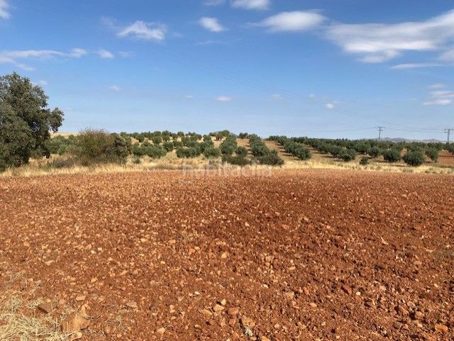 Foto 2e58fa3e-da49-401f-ae4f-cd44d970c115. Finca rústica se vende finca rustica en Sonseca