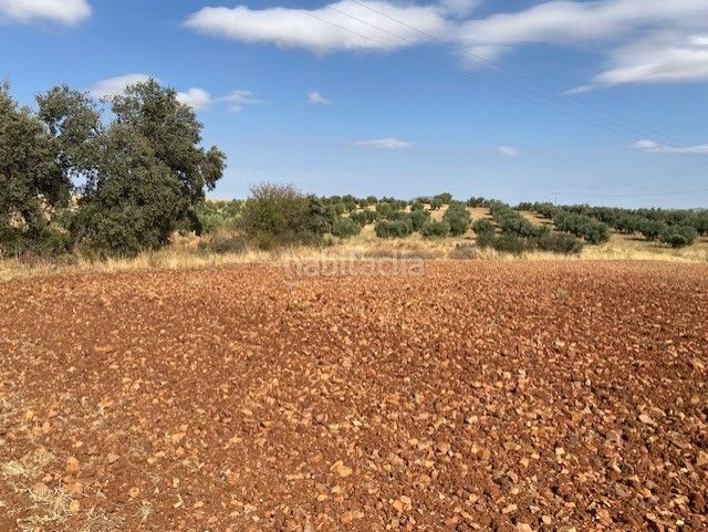 Foto 6ad3d8ee-7f76-466d-ba3c-6c6857a4b08e. Finca rústica se vende finca rustica en Sonseca