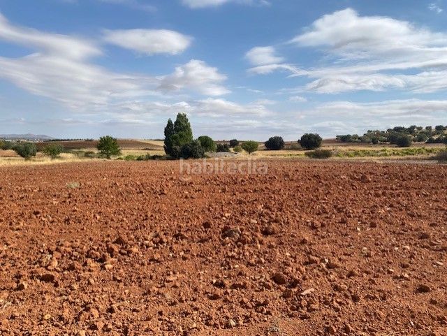 Foto da451abb-7968-46a7-9e96-b866ce359488. Finca rústica se vende finca rustica en Sonseca