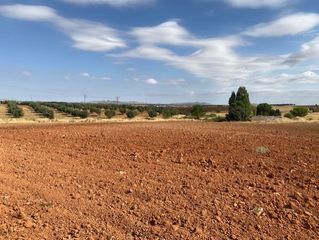 Rural plot in Sonseca