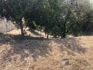 Residential Plot  N/a