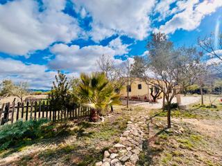 Bauernhof in Salinas. Casa de campo con casita de invitados