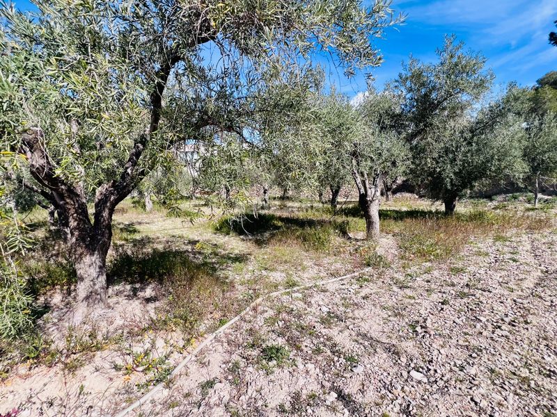 Foto cc1e8a74-56b3-4493-a643-a4e273db9ea3. Xalet amb xemeneia aparcament piscina a Petrer