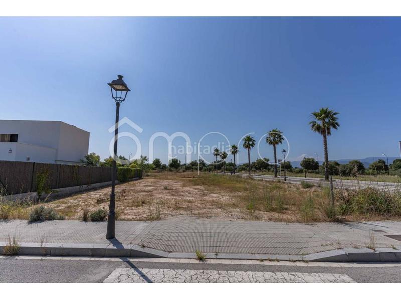 Foto 7fabc8d4-b490-4dcd-a468-a84f8f975367. Residential plot in palmeres 74 in Migjorn Reus