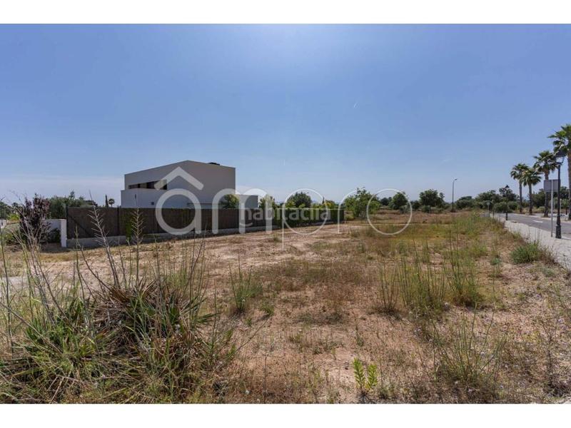 Foto f51dee35-57f1-40c5-9337-440848d7cb4a. Residential plot in palmeres 74 in Migjorn Reus