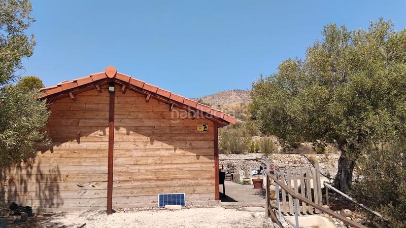 Foto 073b7296-d42c-4c36-9920-c2137c05c35b. Bauernhof in Xixona