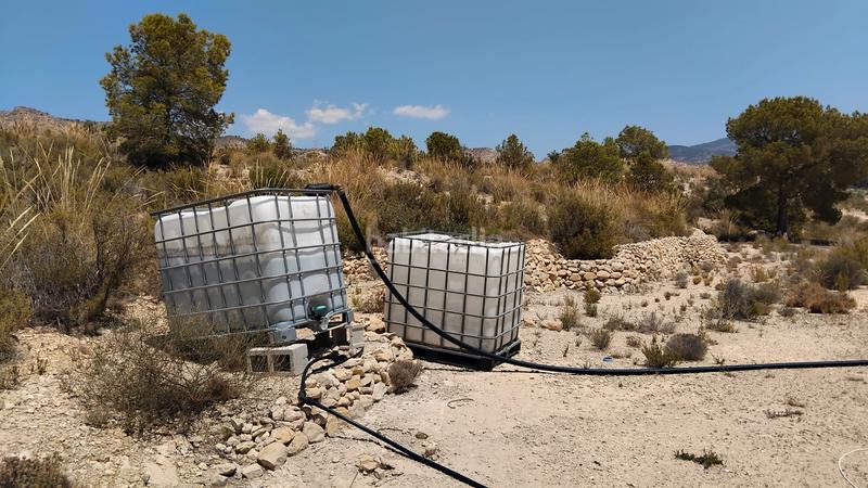 Foto 681cca24-3b60-4c11-8955-b10e4e41e83a. Bauernhof in Xixona