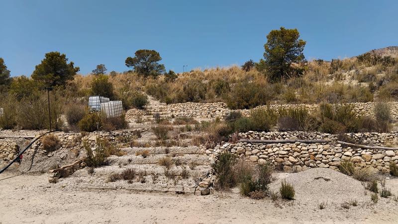 Foto 6bee39b3-03e9-4999-817c-37f157f39e0c. Bauernhof in Xixona