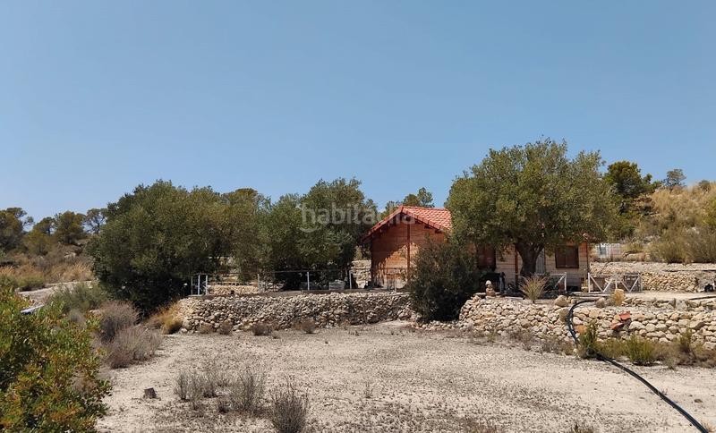 Foto 82ca0341-71ff-4178-bc77-3443b0029584. Bauernhof in Xixona