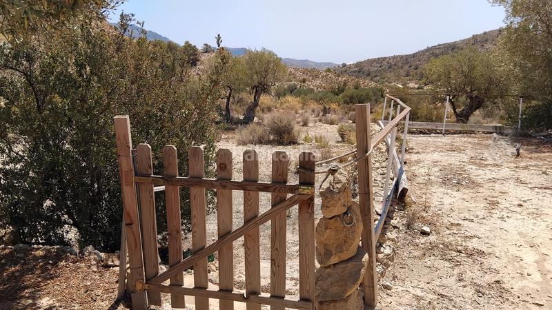 Foto 97dd3396-722d-4f88-82bf-6927cf29b609. Bauernhof in Xixona