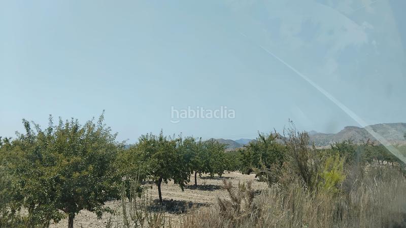 Foto d0509bb2-4262-40df-8fad-c151fb90d30a. Bauernhof in Xixona