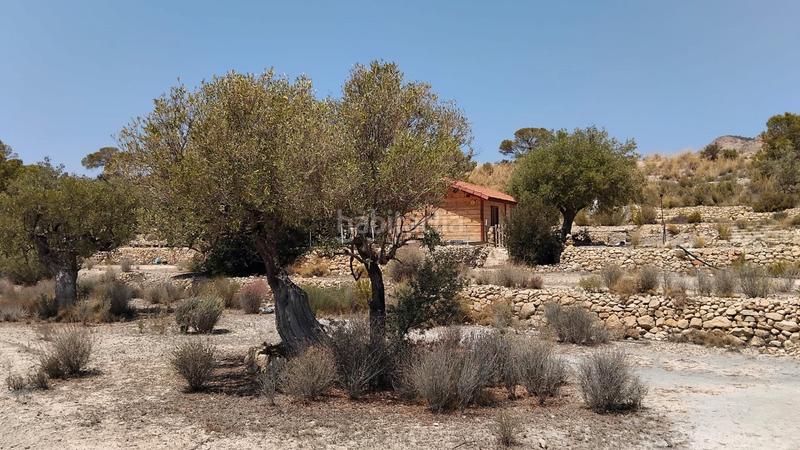 Foto f5d58b6b-b572-48d4-af35-19c8002983ce. Bauernhof in Xixona