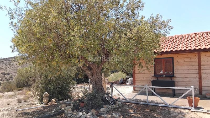 Foto 18ba3a81-73ff-4859-9e49-3e654ea9677d. Masía en Xixona