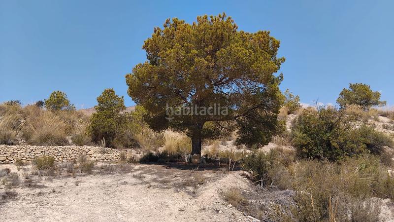 Foto 7f4dbeb1-98c2-4acd-955e-aba6cff6fc03. Masía en Xixona