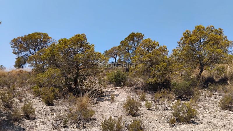 Foto cb94a2f9-8ce3-402d-a248-731c5cfa90c9. Masía en Xixona