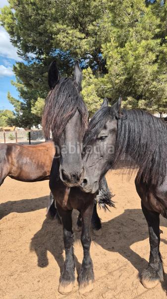Foto 25715497-4f43-41da-9863-c1008e9fec3c. Casale con camino riscaldamento parcheggio in Finestrat pueblo Finestrat