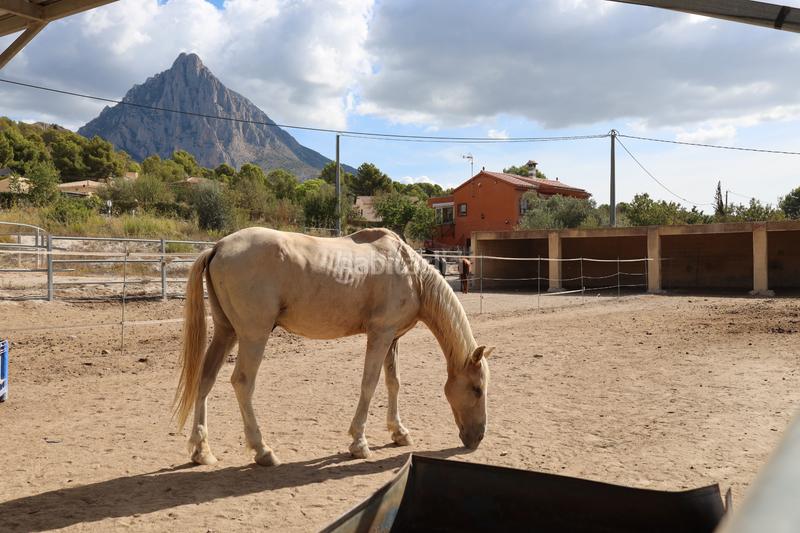 Foto b174224e-4c17-48a7-b6c6-7856018bfa85. Casale con camino riscaldamento parcheggio in Finestrat pueblo Finestrat