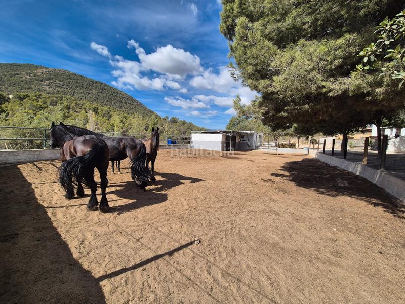 Foto 60b66bdb-6481-4c40-a63d-feddd92d9c89. Country house with fireplace heating parking in Finestrat pueblo Finestrat