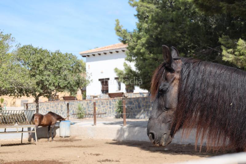 Foto d349aa3b-68e8-473c-b9d8-6cbb2688e0ca. Country house with fireplace heating parking in Finestrat pueblo Finestrat