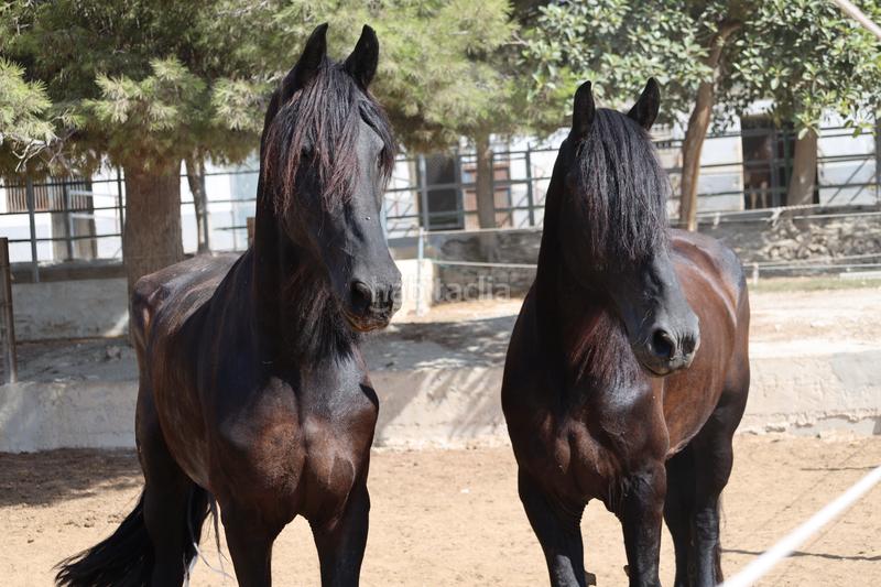 Foto 54b08ff0-60d3-44c5-b29a-811e64329107. Mas avec cheminée chauffage parking dans Finestrat pueblo Finestrat