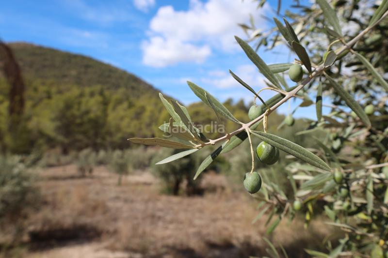 Foto d3047d01-3adc-4f59-91dc-cf4accef8082. Mas avec cheminée chauffage parking dans Finestrat pueblo Finestrat