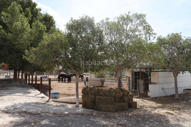 Foto 02201974-5044-41f5-a206-5d7024b911da. Masía en Finestrat pueblo Finestrat