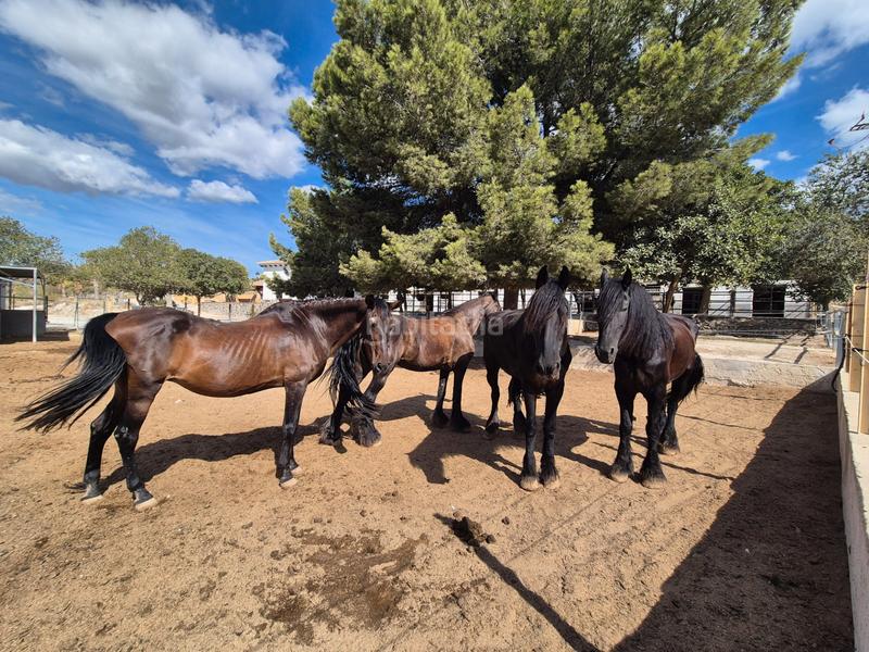 Foto 2fb5290e-e23f-4d43-906a-791263ae1d10. Masía en Finestrat pueblo Finestrat