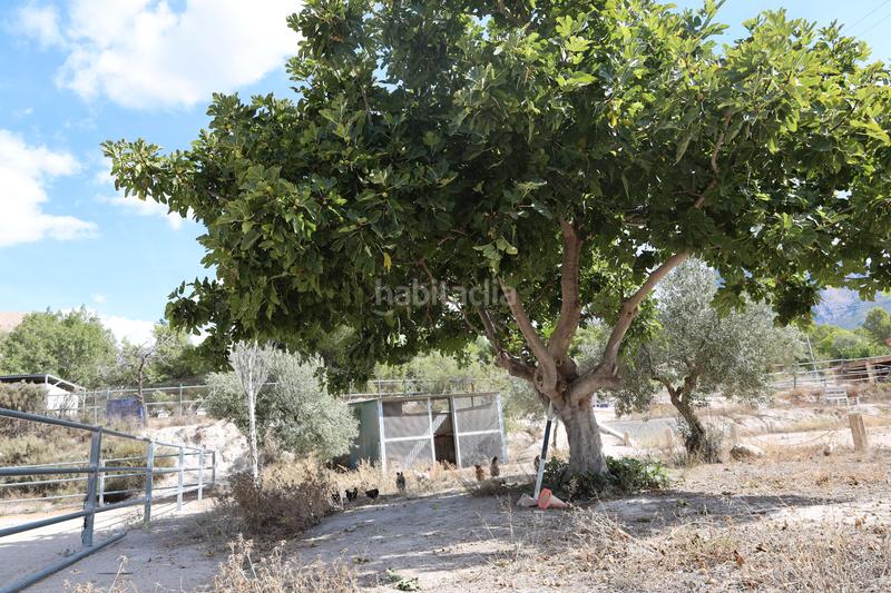 Foto 1b0f2a0e-8601-4ee5-a7a1-3cca1848ba8d. Masia amb xemeneia calefacció aparcament a Finestrat pueblo Finestrat