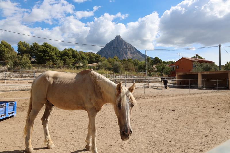 Foto 2aafedb4-3cff-4da6-aa3b-fe0ba59c942c. Masia amb xemeneia calefacció aparcament a Finestrat pueblo Finestrat