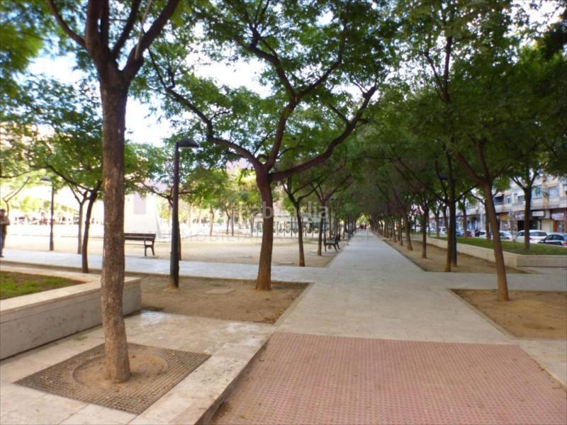 Foto cd64bb6e-4ab8-4632-8dd7-e54dd9b29380. Ufficio in Florida Baja Alicante