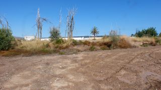 Solar industrial a Mutxamel, Zona de - Mutxamel, Cami Sabateta