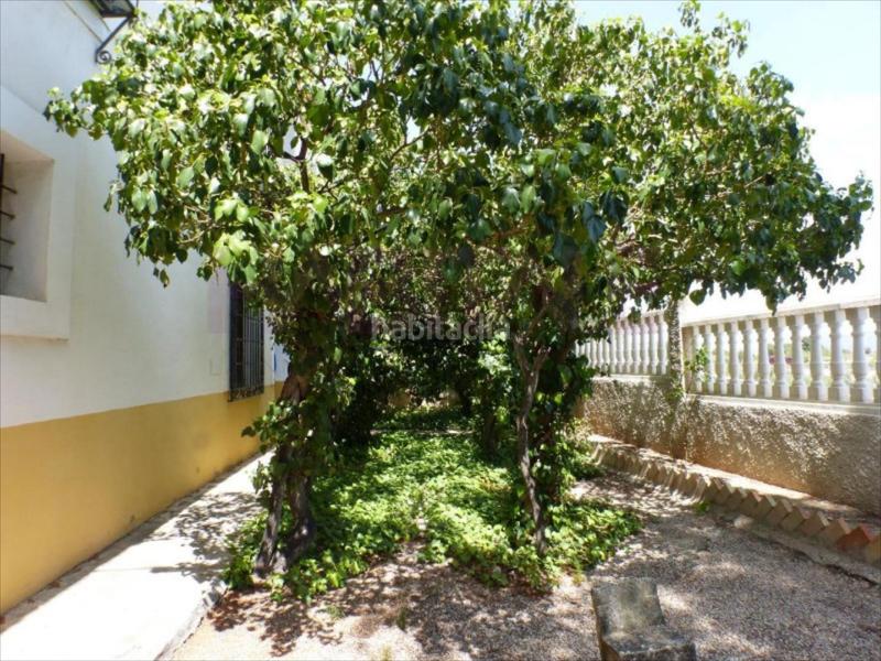 Foto 02e12eb5-1b49-4fd2-9c80-4219dfebf93c. Wohngrundstück in Tibi