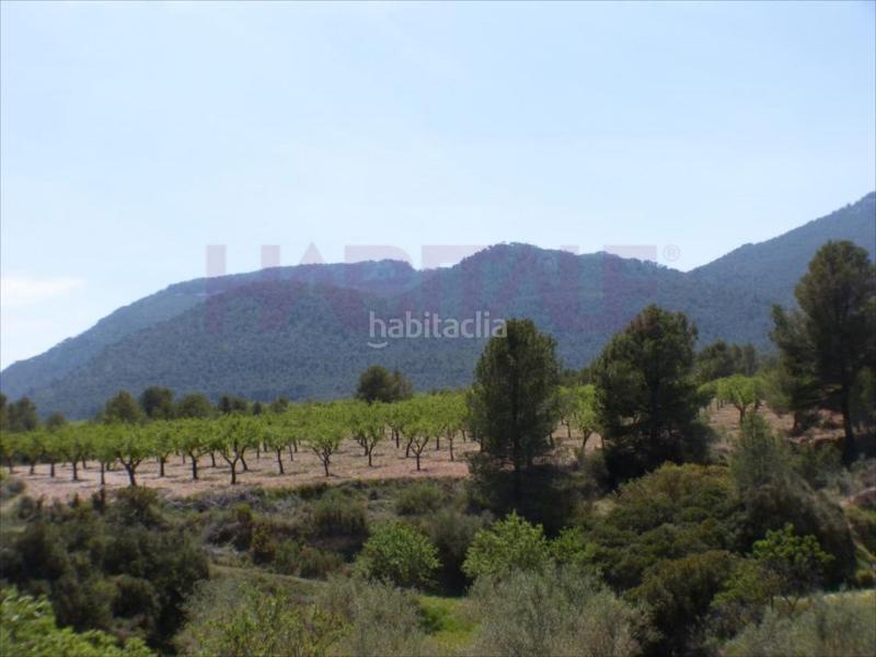 Foto 943e0113-394a-4af4-a005-50de1908bd97. Wohngrundstück in Tibi