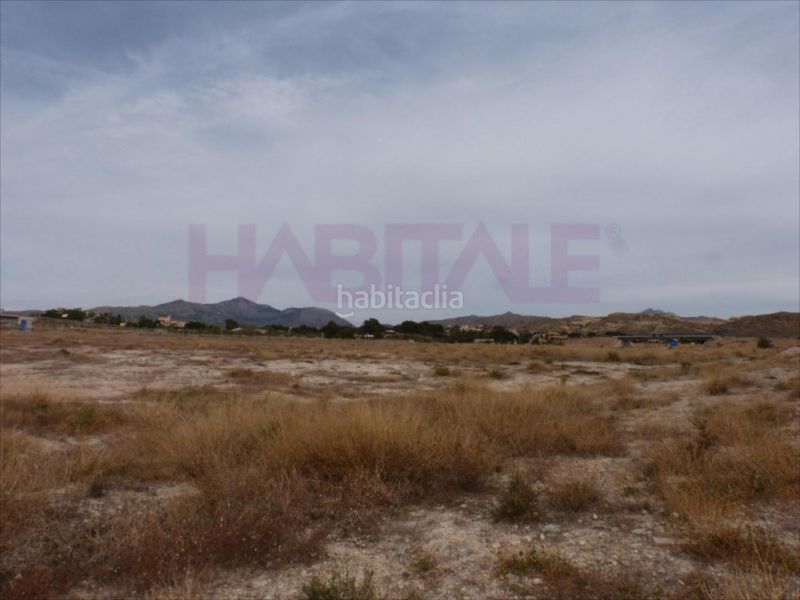 Foto a0ada7c1-8b2f-4bae-b7f3-f60aea35e258. Area edificabile industriale in Moralet Alicante