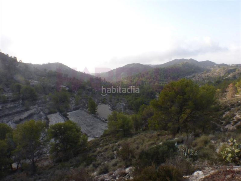 Foto eac35c6c-da94-4f08-929c-0dff93d9300b. Terreny residencial a Orxeta