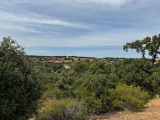 Wohngrundstück in Valdeaveruelo