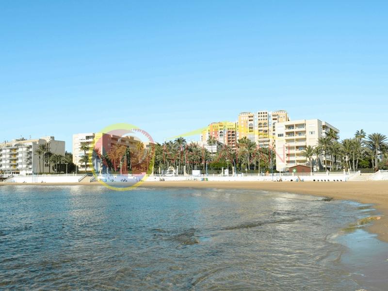 Foto 781ab34f-093e-4ee6-8d68-e16b3d8cf7ac. Chalet with parking pool in Aguas Nuevas Torrevieja