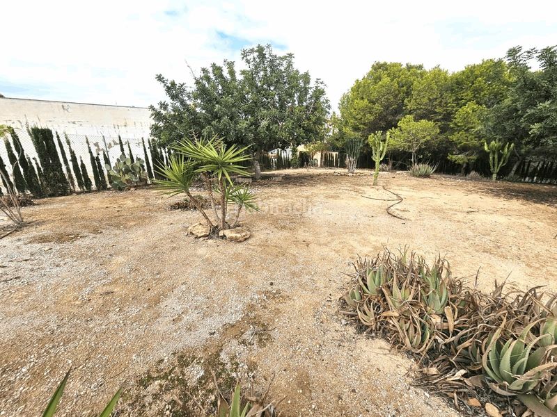Foto 669f2e44-53d7-469f-8960-c49c178768a0. Dúplex amb calefacció aparcament piscina a La Florida Orihuela