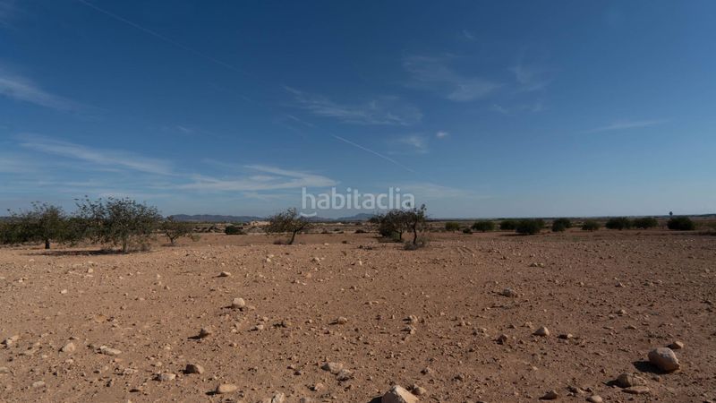 Foto 89a92b5a-a483-474f-8c00-f4be9906aa88. Terreny residencial a Corvera Murcia